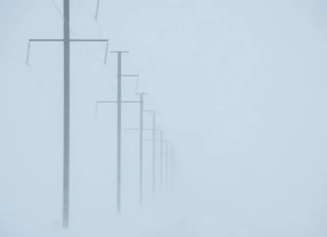 Power poles disappearing into a winter whiteout